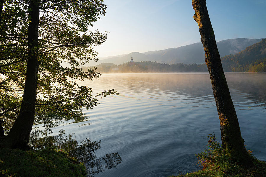Rising - lake Bled by Yuri San Rising - lake Bled by Yuri San