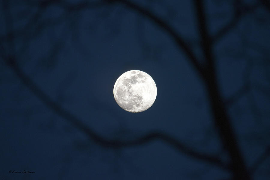 Rising March Moon Photograph by Denver Halteman - Fine Art America