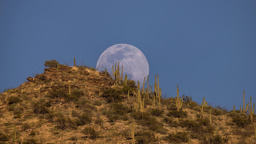 Rising moon across the AZ Desert Photograph by David C Vincent | Fine ...