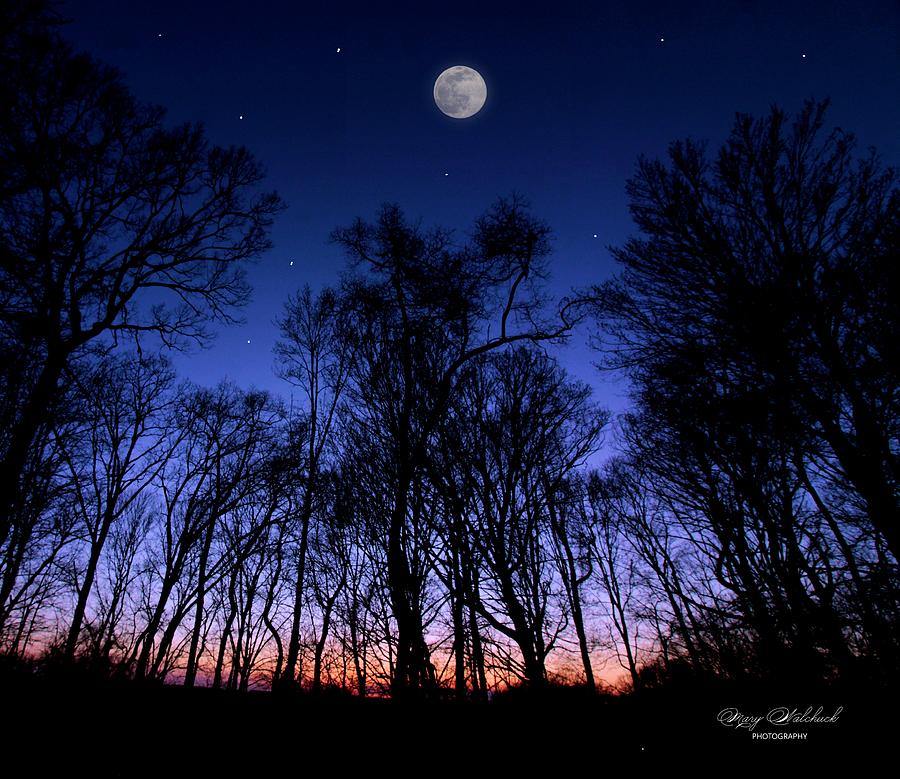 Rising Moon Photograph by Mary Walchuck