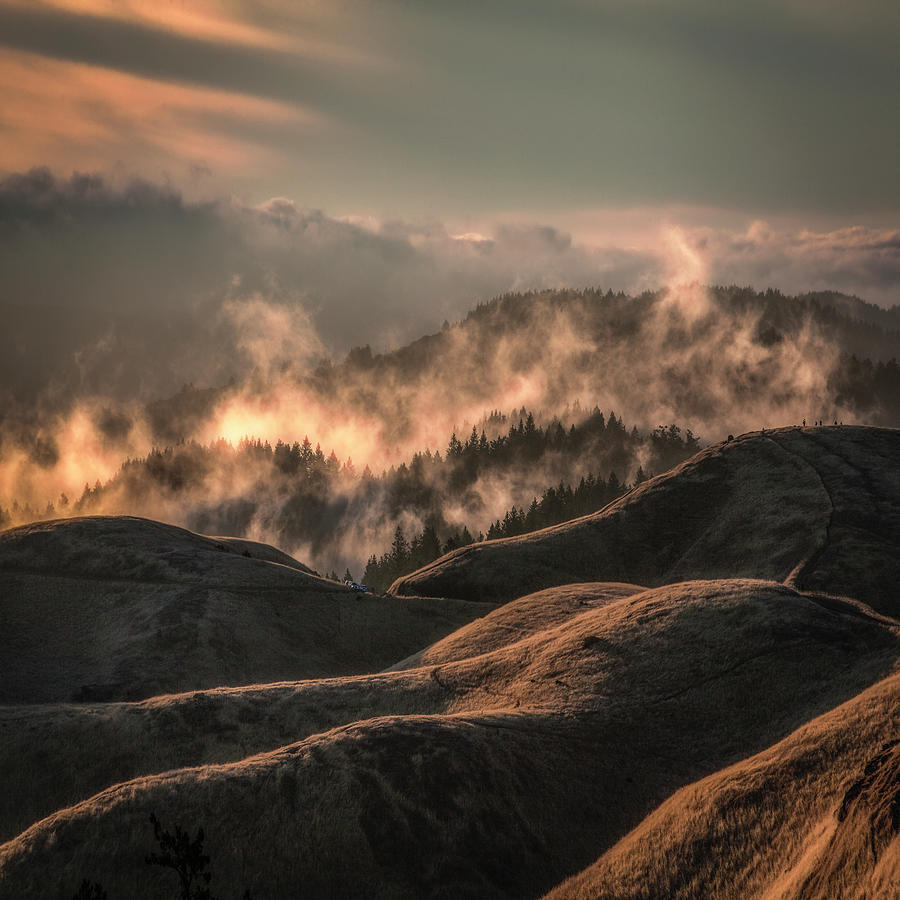 Rising steam, Bolinas Ridge Photograph by Donald Kinney