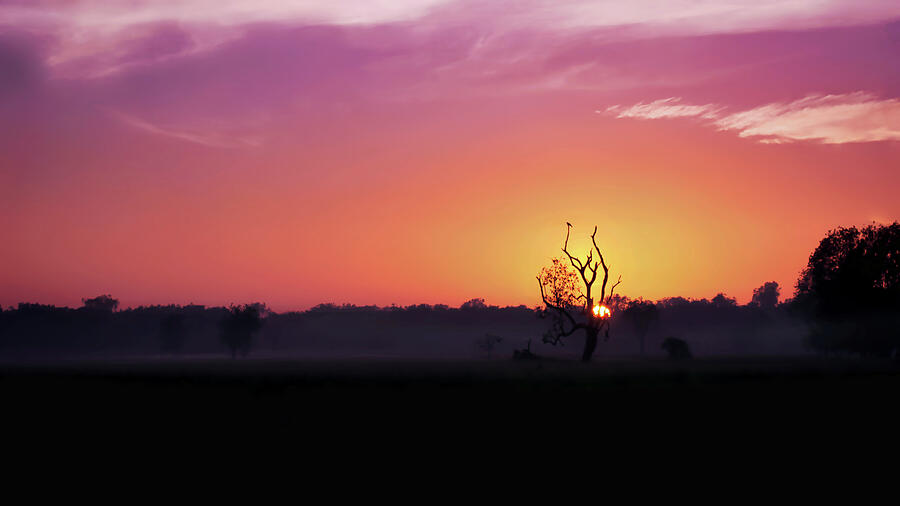 Rising Winter Sun - Kakadu NP Photograph by Lexa Harpell