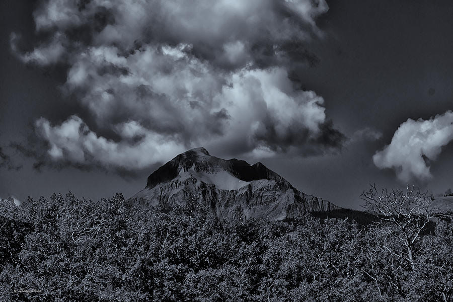Rising Wolf Mountain Reaching for the Clouds, Black and White Photograph by Tracey Vivar