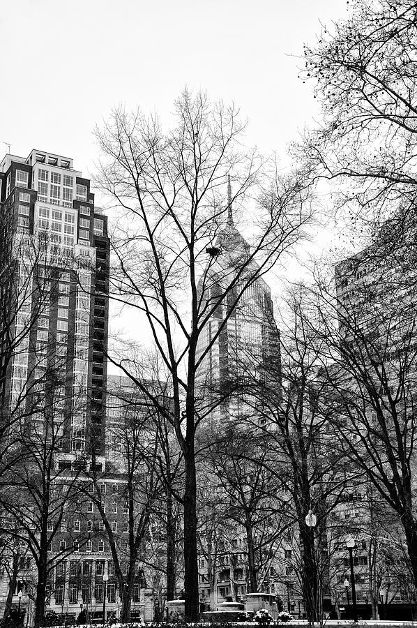 Rittenhouse Square in Black and White Photograph by Philadelphia Photography