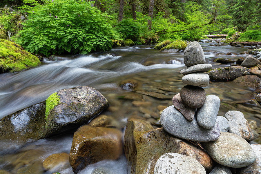 River and marker in Washington rainforest Photograph by Murray Rudd