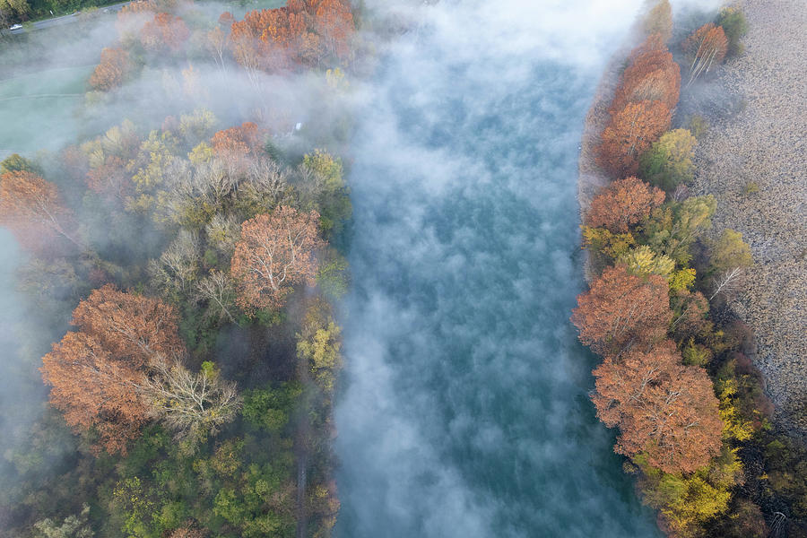 River and trees in the mist Photograph by Pietro Ebner