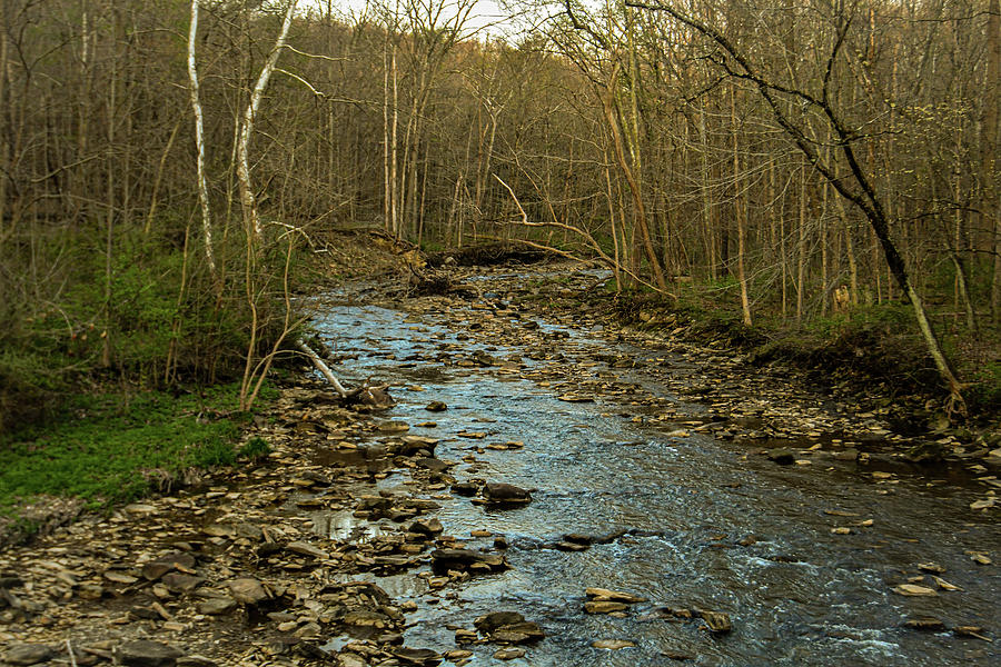 River and Trees on the Three Waterfalls Loop CVNP Photograph by Adam ...