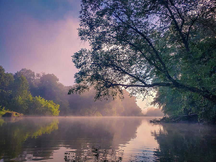 River at dawn Photograph by Jim Williams