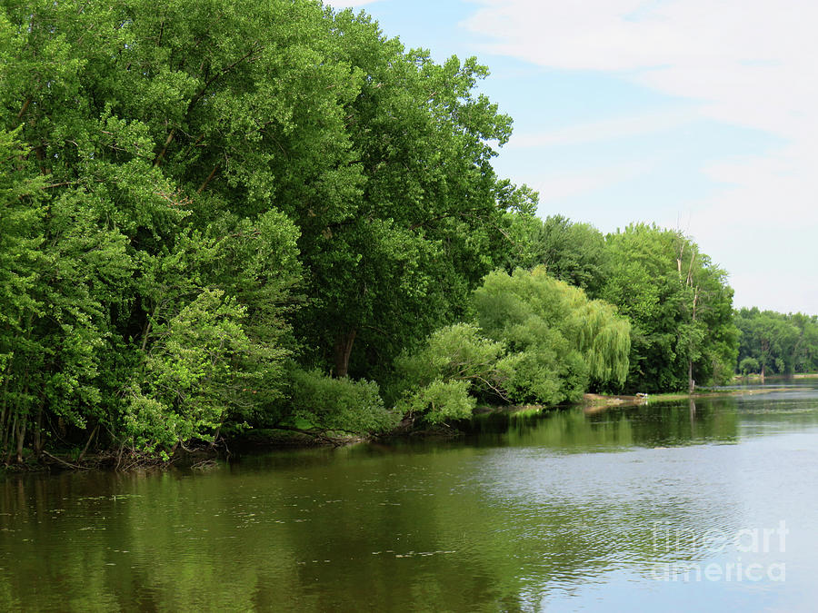 https://images.fineartamerica.com/images/artworkimages/mediumlarge/3/river-bank-covered-of-trees-in-the-summer-celine-bisson.jpg