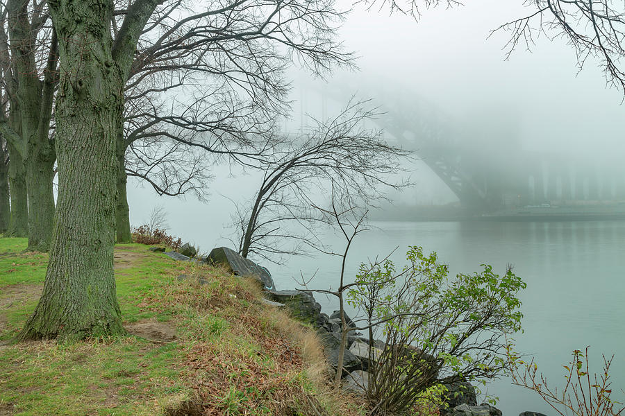 River Bank Fog Photograph by Cate Franklyn