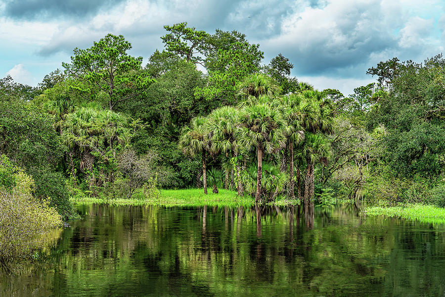 River Photograph - River Bend by Charles LeRette River Photograph - River Bend by Charles LeRette
