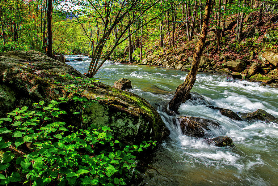 River Bend Photograph by Lisa Lambert-Shank