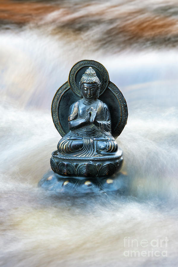 River Buddha Photograph by Tim Gainey