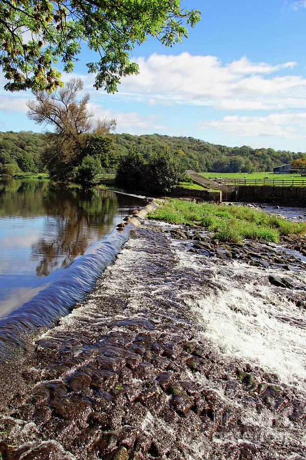River Calder Weir At Whalley. Photograph