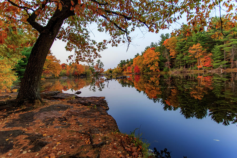 Fall Photograph - River Colors Peaking by Neal Nealis