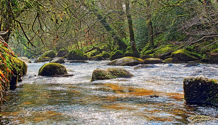 River Dart in winter Photograph by Tony Mills