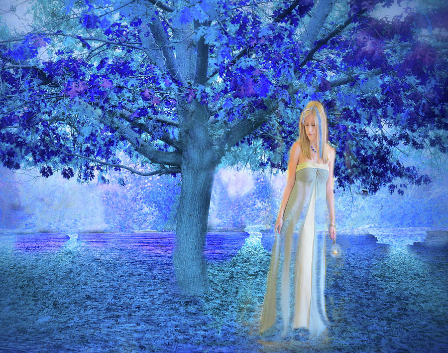 River Fairy in her Magical Forest  Photograph by Marilyn MacCrakin