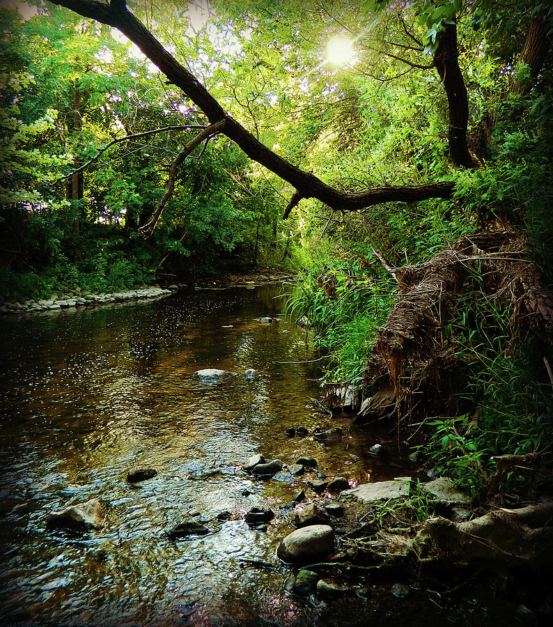 River Flow 1 Photograph by Cyryn Fyrcyd