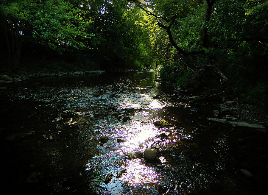 River Flow 2 Photograph by Cyryn Fyrcyd