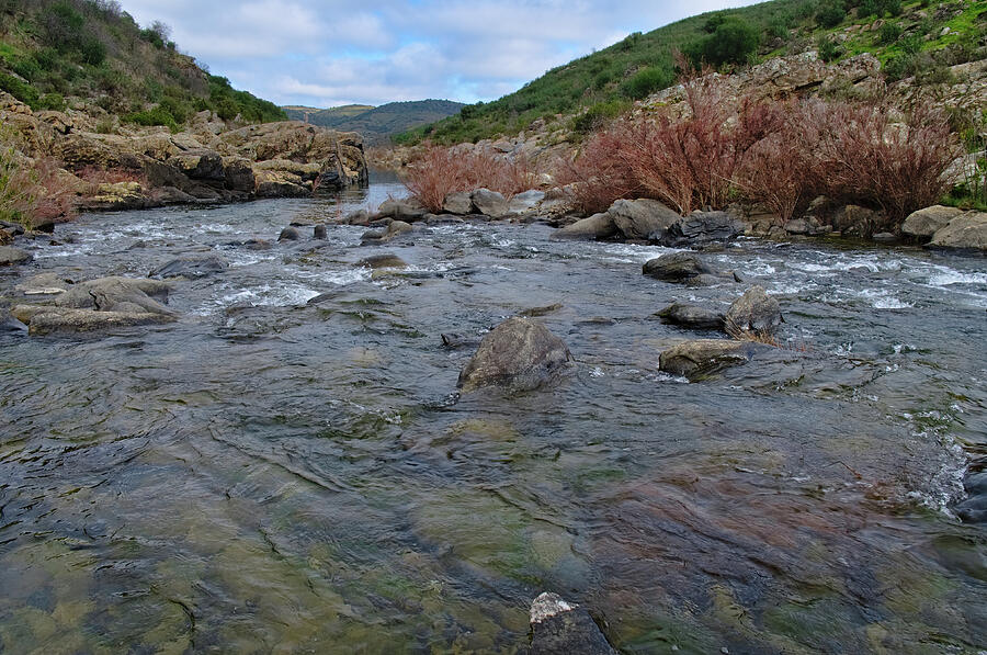 River Flow in Alentejo Photograph by Angelo DeVal