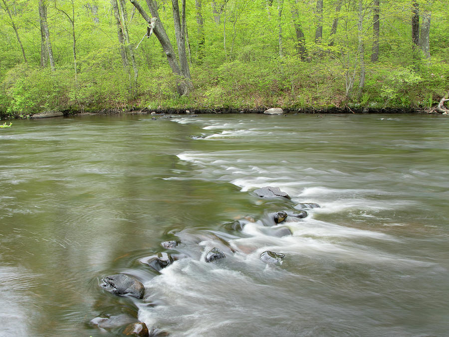 River Flow  Photograph by William Bretton