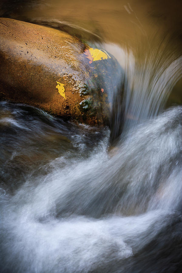 Zion National Park Photograph - River Flow, Zion National Park by Peter OReilly