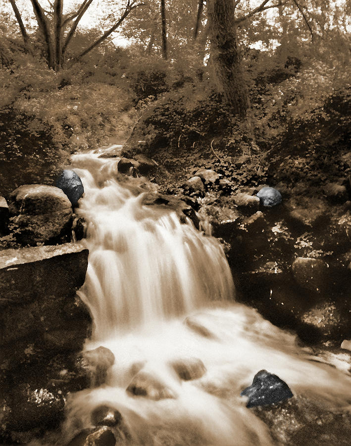 River Flows 5s Photograph by Mike McGlothlen
