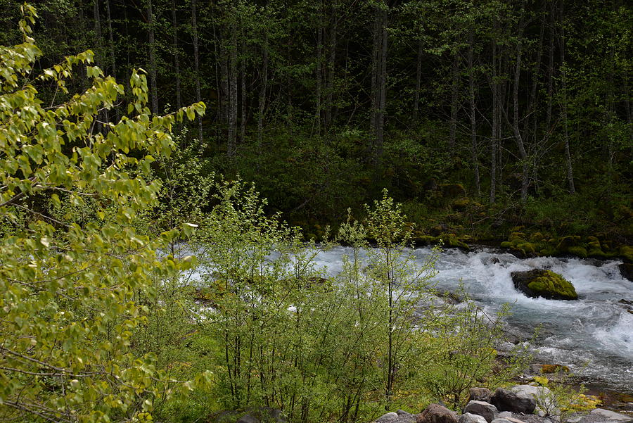 River flows through the wilderness Photograph by James Cousineau