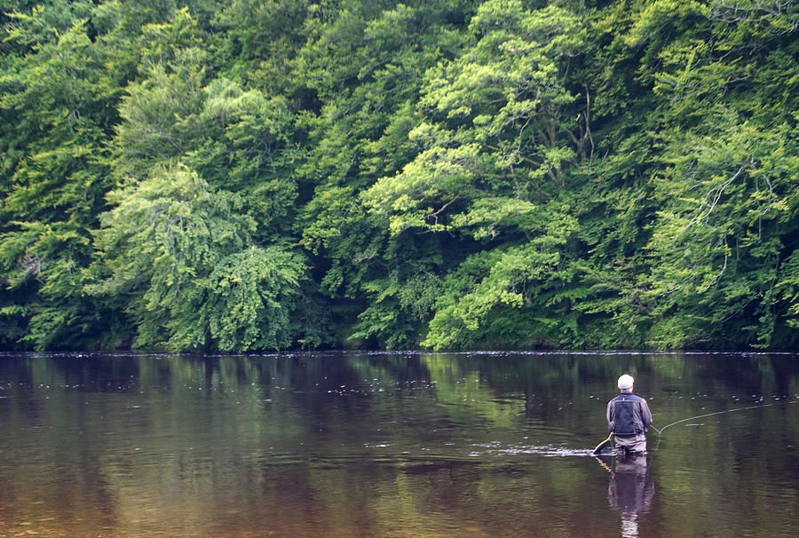 River fly fishing Photograph by LordRunar
