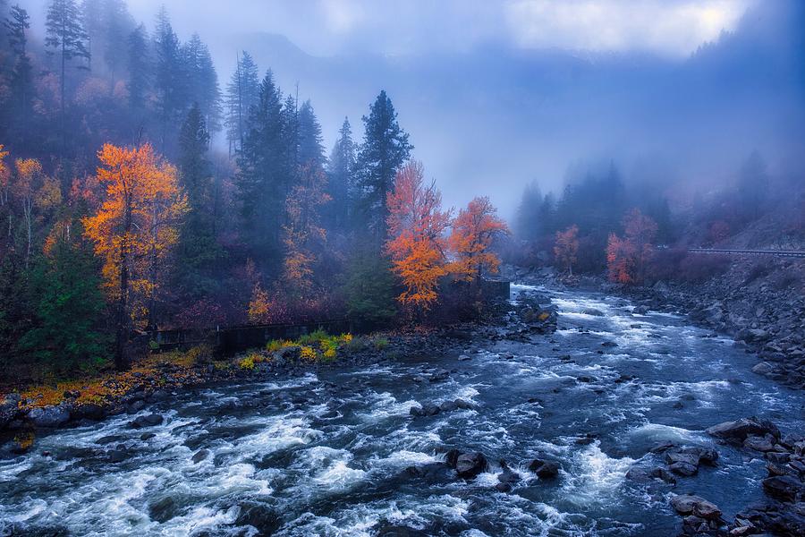 River Fog Photograph by Lynn Hopwood