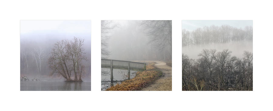 River Fog Triptych Photograph