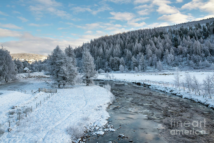 River Gairn in the Snow  Photograph by Tim Gainey