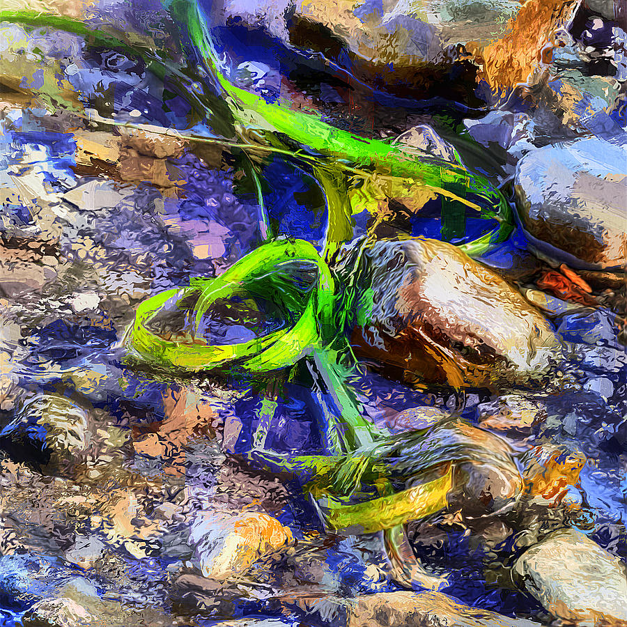 River green algae and rocks Mixed Media by Tatiana Travelways