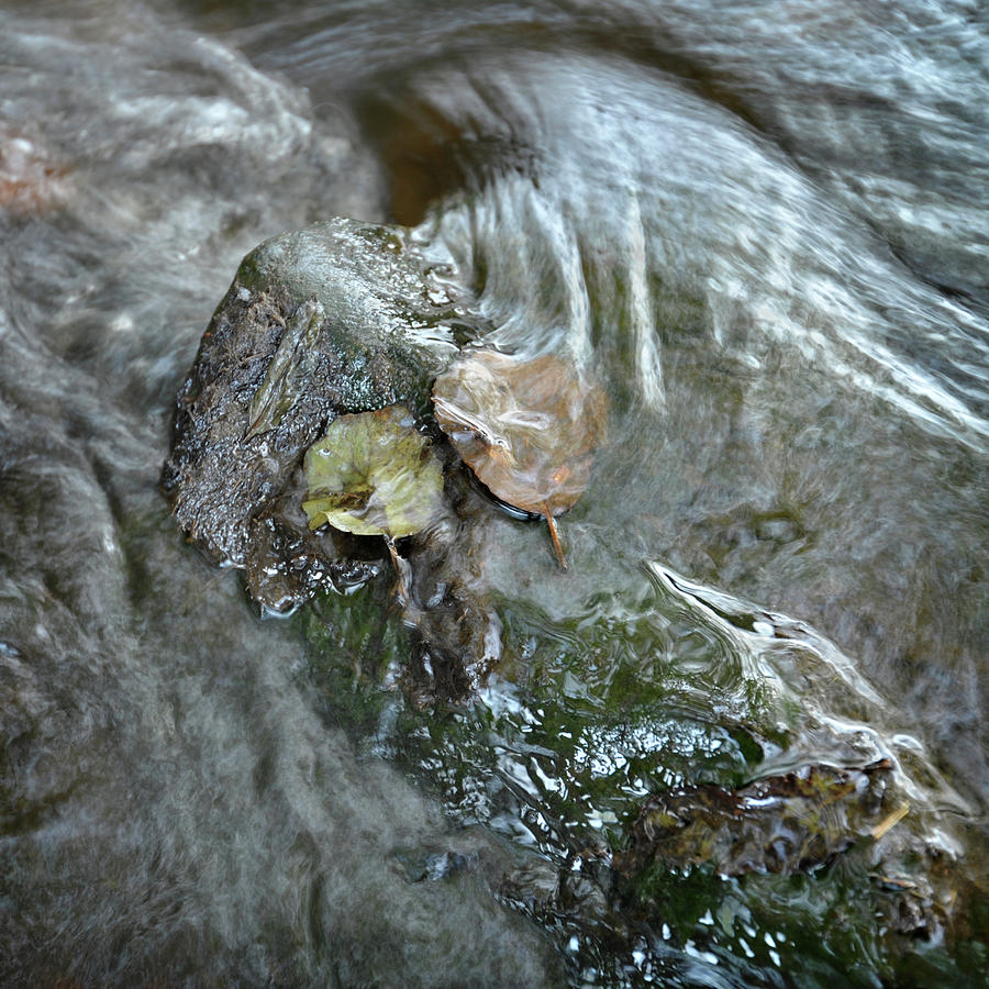 River Hipper detail Photograph by Jerry Daniel