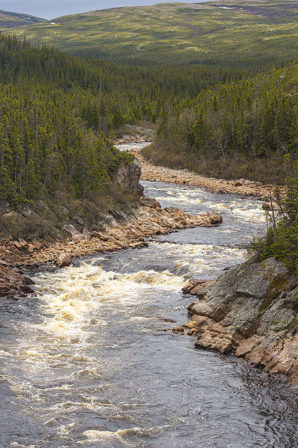 River in Gros Morne Photograph by Gail Shotlander