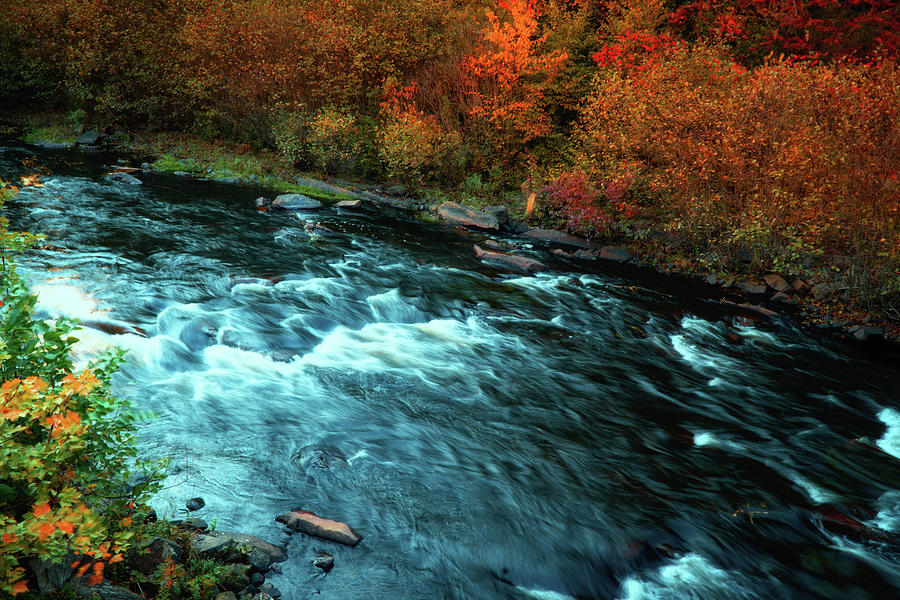 River in NH autumn landscape Photograph by Lilia S