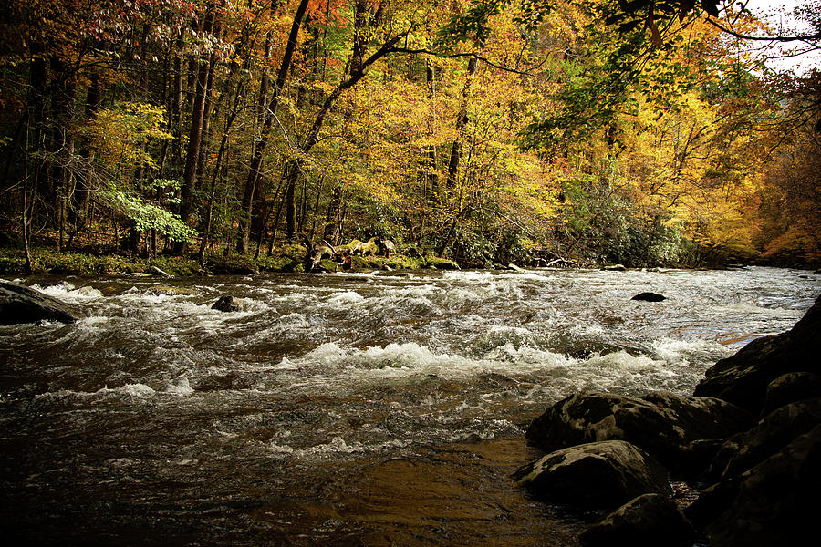 River In The Fall Photograph By Emma Norris - Fine Art America