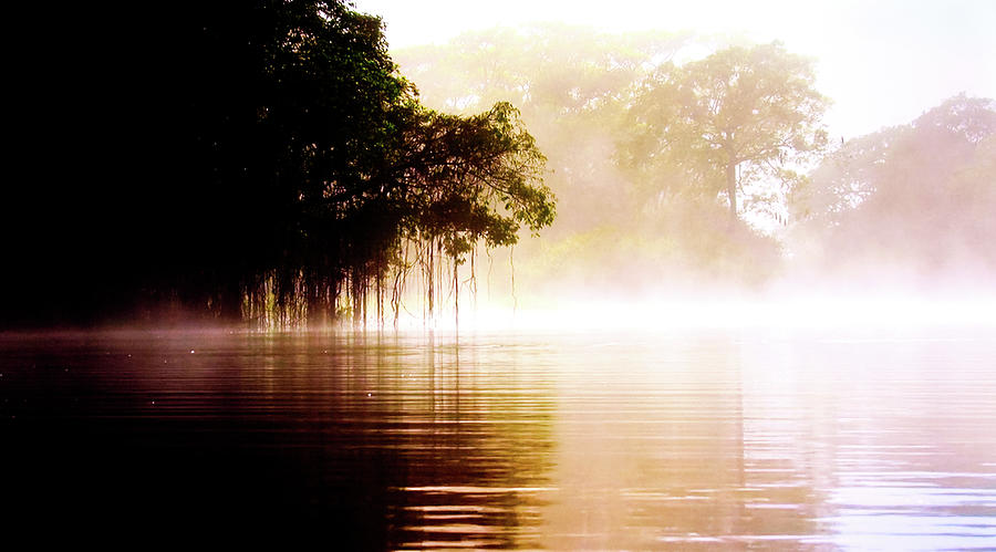 River In The Fog Photograph