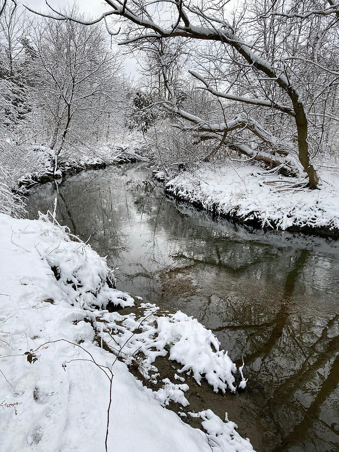 River in Winter Photograph by Makiko Ishihara