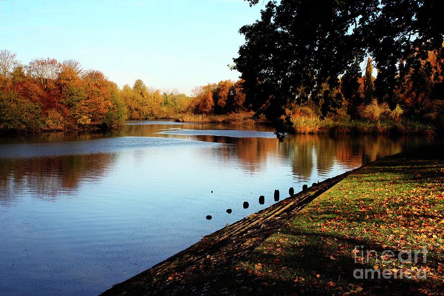 River Itchen in Autumn Photograph by Terri Waters