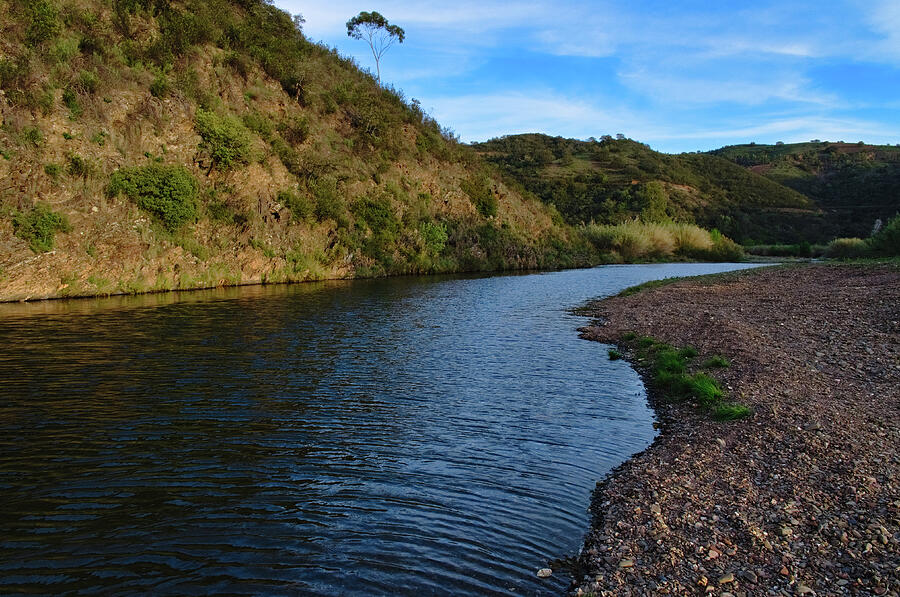 River Journey Photograph by Angelo DeVal