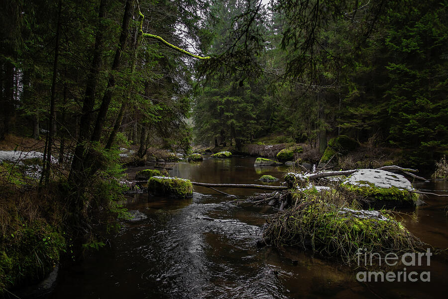 River Kamp Flows Through Valley With Forest And Mossy Boulders In Lower Austria In Aus Photograph by Andreas Berthold