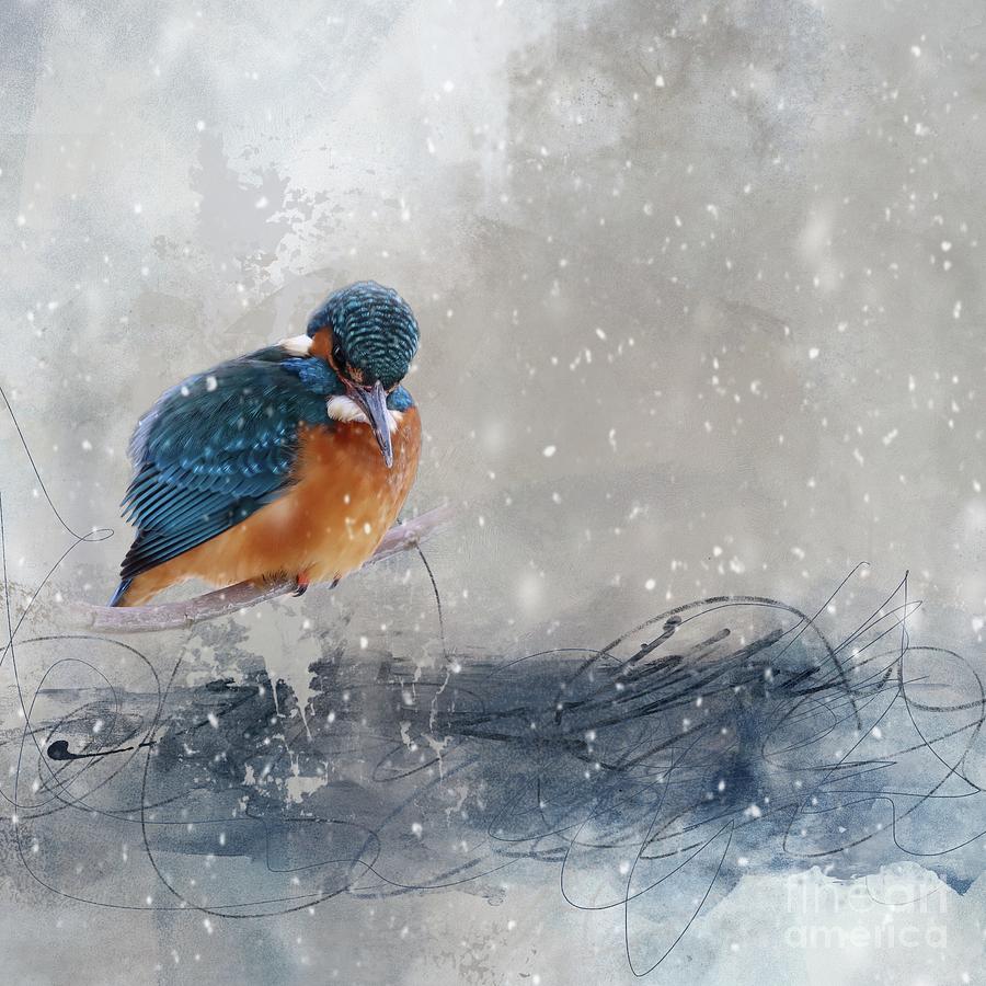 River Kingfisher in Winter Mixed Media by Eva Lechner