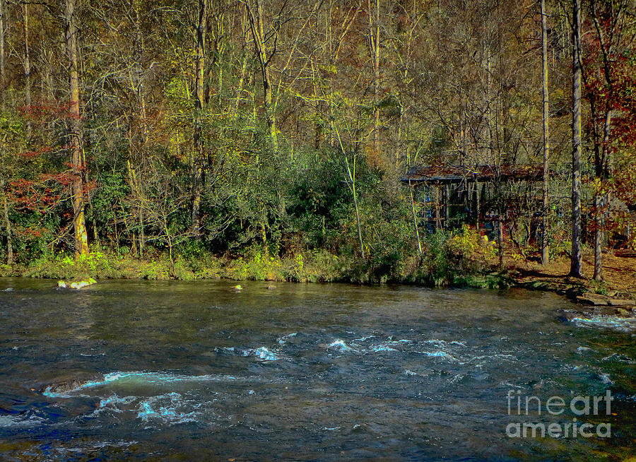 River Life Photograph by Judy Hall-Folde