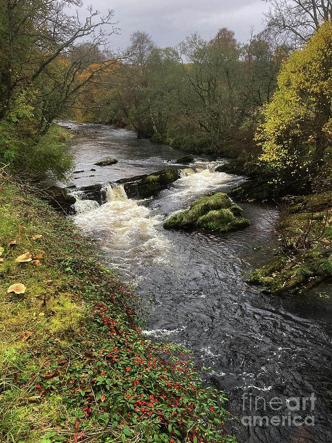 River Livet at the Falls - Banffshire - Scotland Photograph by Phil Banks