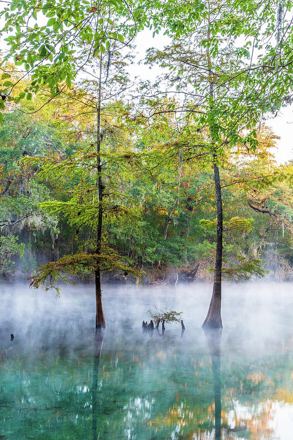 River Morning Mist Photograph by Stefan Mazzola