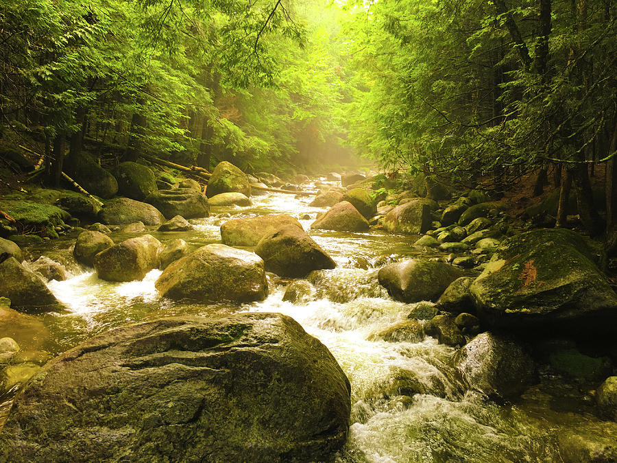 River of Gold Photograph by Luke Knight Pixels