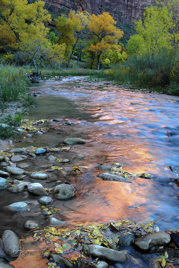 River of Life Photograph by Dave Diegelman - Pixels