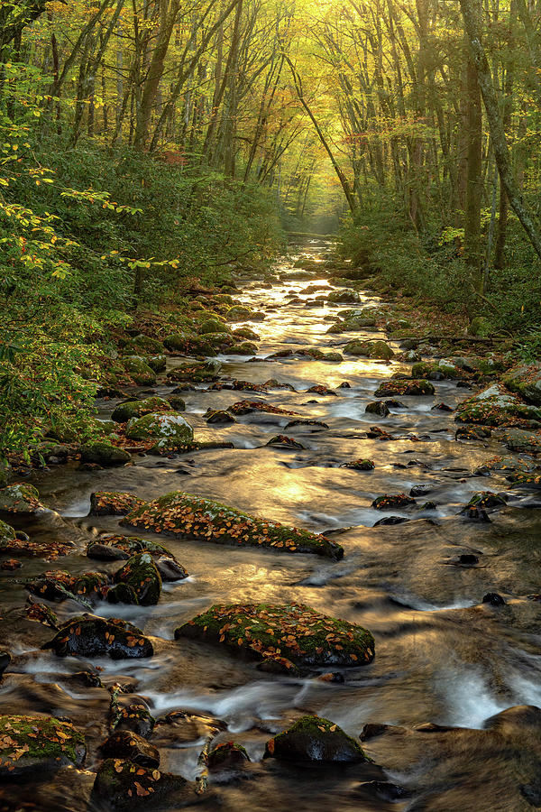 River of Light - Great Smoky Mountains Photograph by Eric Albright
