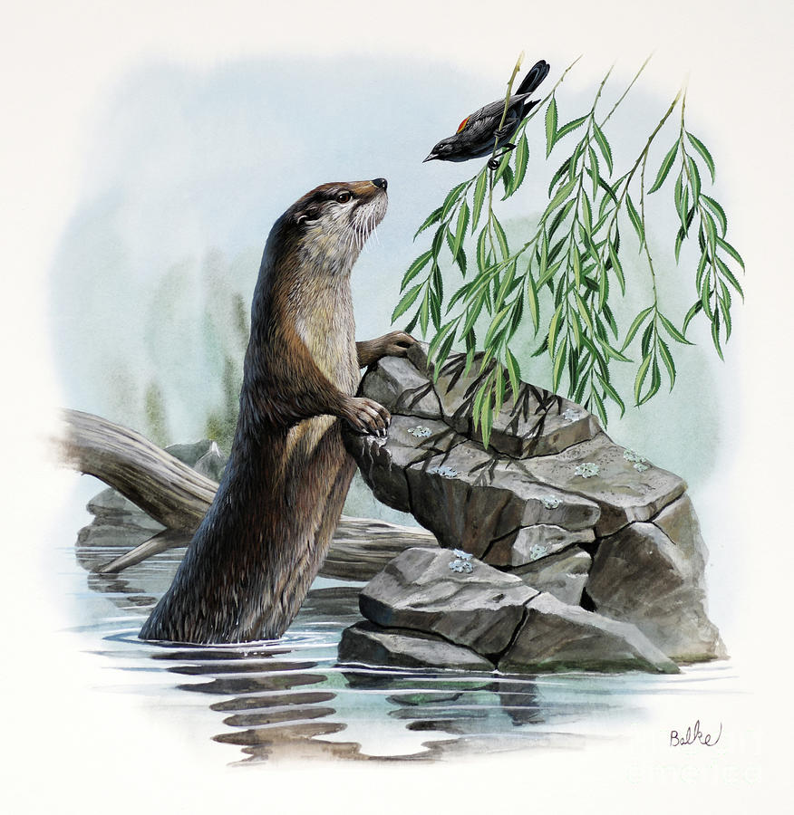 River Otter Painting by Don Balke